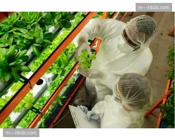 全链路无纸化正重组办公流程 赛事组织低碳特征愈发鲜明 全链路无纸化正重组办公流程 赛事组织低碳特征愈发鲜明